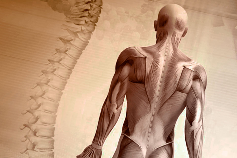 Ассоциация врачей SMT-health